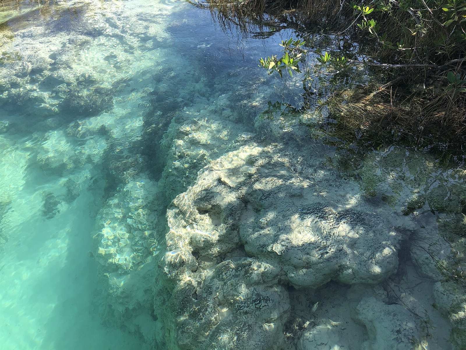 Stromatolites · 4 km