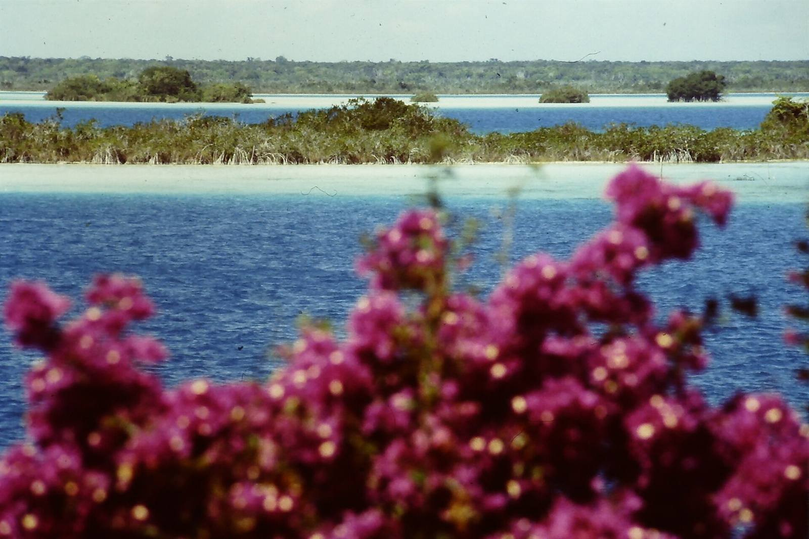 The lagoon · 1.4 km